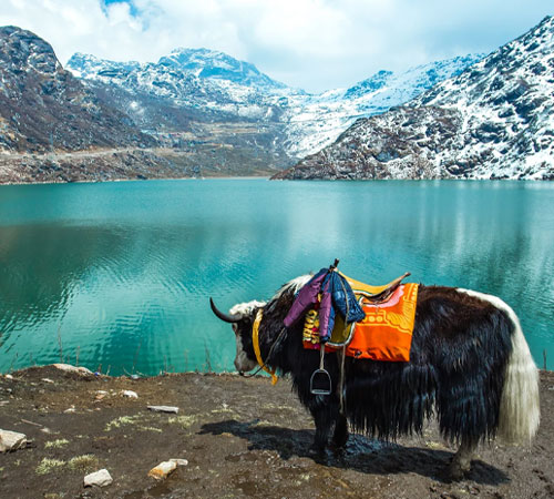 Discover Hidden Gems in a 3 Nights, 4 Days Retreat